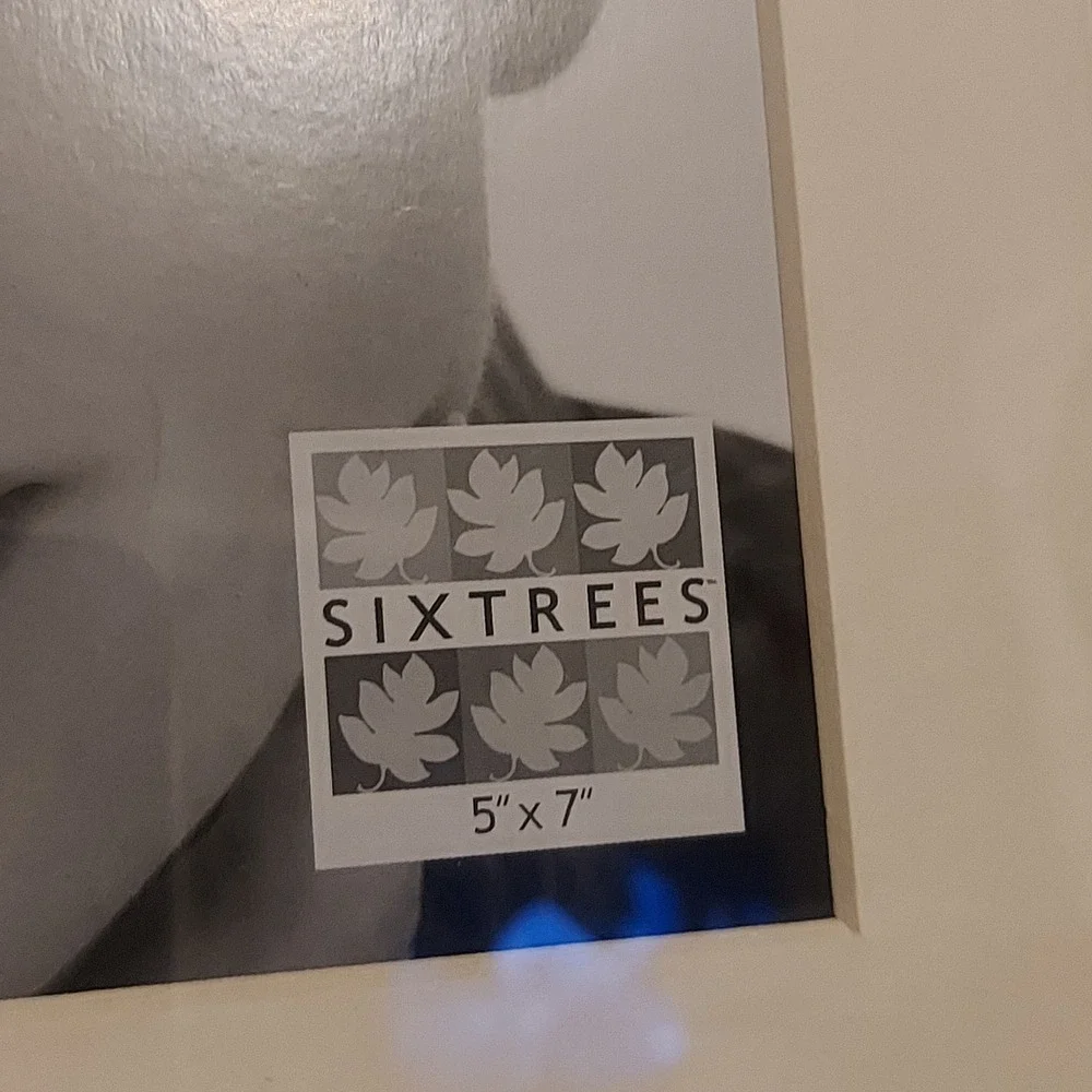 Sixtrees Ltd. sixtrees ltd